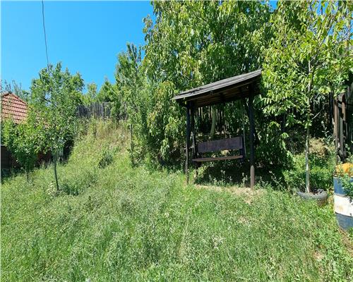 Cabana de vanzare zona Sard cu teren intravilan de 1950 mp