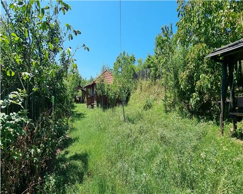 Cabana de vanzare zona Sard cu teren intravilan de 1950 mp