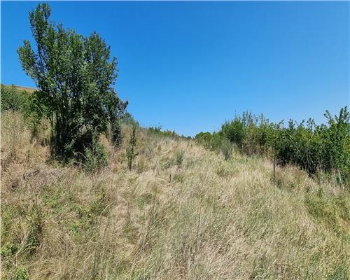 Cabana de vanzare zona Sard cu teren intravilan de 1950 mp