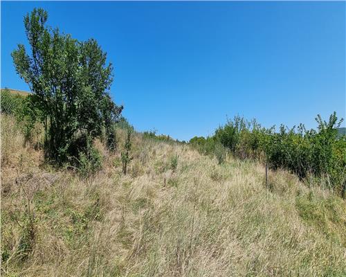 Cabana de vanzare zona Sard cu teren intravilan de 1950 mp