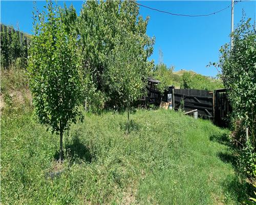 Cabana de vanzare zona Sard cu teren intravilan de 1950 mp