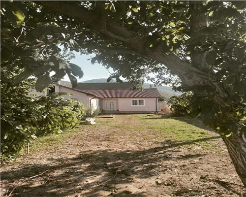 Casa pentru 2 familii in Sard 1065mp teren