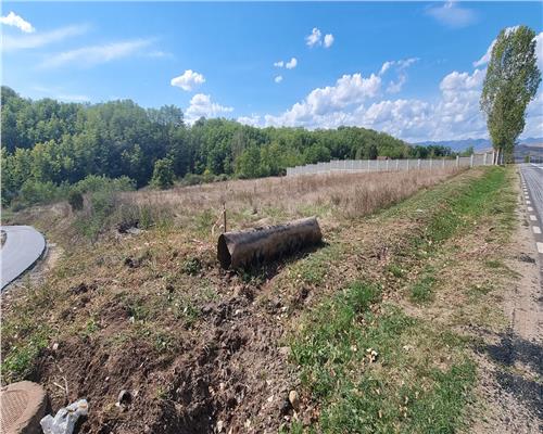 Teren intravilan 2100 mp de vanzare in Teleac la asfalt cu toate utilitatile