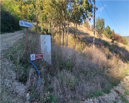 Teren intravilan 600 mp de vanzare zona Alba Micesti