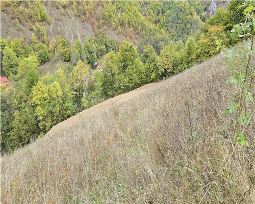 Teren Intravilan de Vanzare in Zona Turistica Ramet