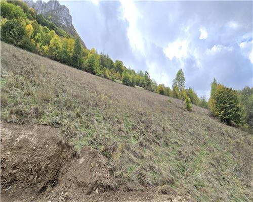 Teren Intravilan de Vanzare in Zona Turistica Ramet