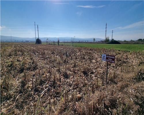 Teren intravilan 4000 mp pe soseaua de centura