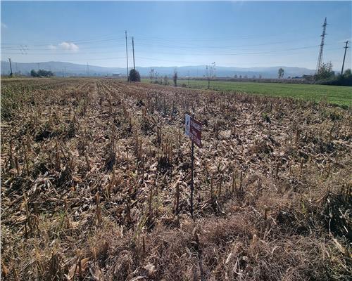 Teren intravilan 4000 mp pe soseaua de centura