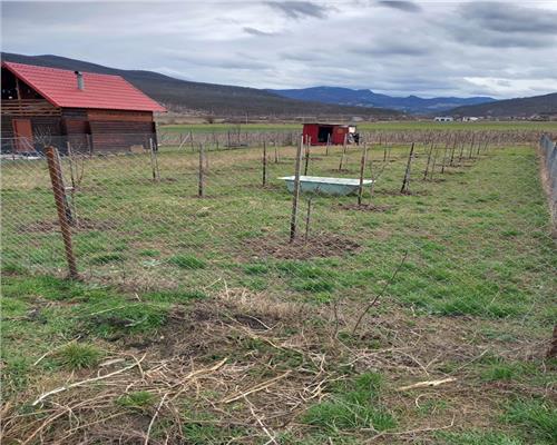 Cabana de vanzare in Sard cu teren de 574 mp teren