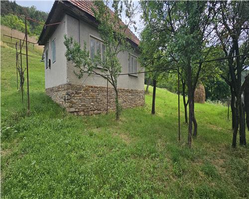 Casa de vanzare, 5600 mp teren, cu utilitati, zona Paclisa